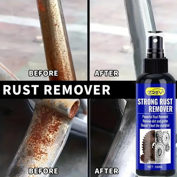Strong Rust Remover 100 ml Pack of 1