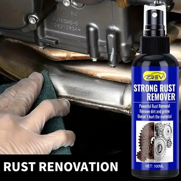 Strong Rust Remover 100 ml Pack of 1